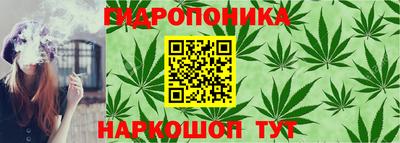 COCAINE Бердск